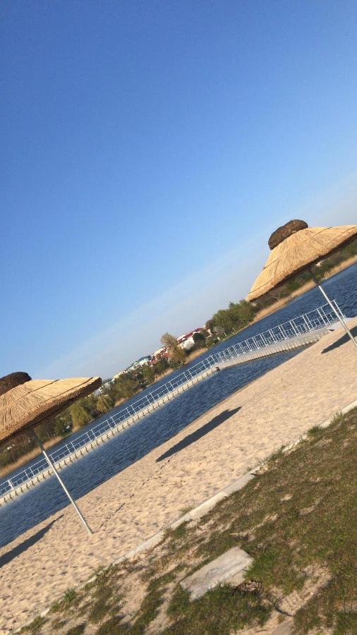 Camping Oaza Blonie Kornik Domki Standard - 3 Pokoje Kültér fotó